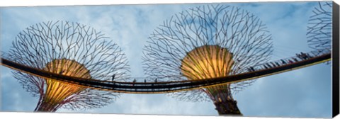 Framed Elevated walkway among Supertrees, Gardens by the Bay, Singapore Print