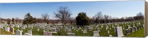 Framed Tombstones in a cemetery, Arlington National Cemetery, Arlington, Virginia, USA Print