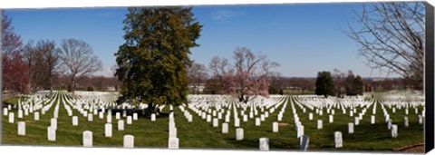 Framed Headstones in a cemetery, Arlington National Cemetery, Arlington, Virginia, USA Print