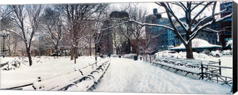 Framed Snow covered park, Union Square, Manhattan, New York City, New York State, USA Print