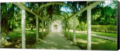 Framed Pathway in a botanical garden, Jardim Botanico, Zona Sul, Rio de Janeiro, Brazil Print