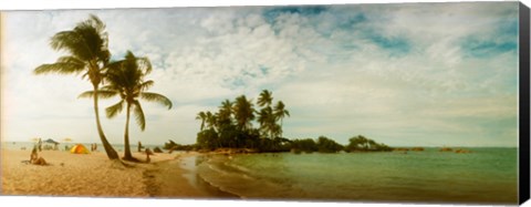 Framed Two Big Palm Trees in Morro De Sao Paulo, Brazil Print