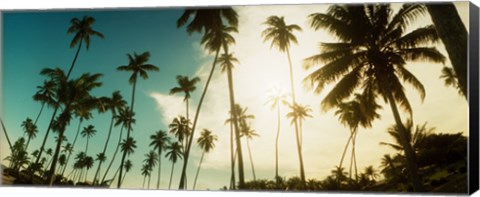 Framed Palm trees along the beach in Morro De Sao Paulo, Tinhare, Cairu, Bahia, Brazil Print