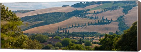 Framed High angle view of winding road in valley, Tuscany, Italy Print