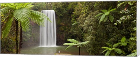 Framed Waterfall in a forest, Millaa Millaa Falls, Atherton Tableland, Queensland, Australia Print