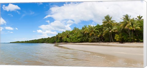 Framed Trees on the beach, Cape Tribulation, Daintree River National Park, Queensland, Australia Print