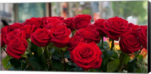 Framed Close-up of red roses in a bouquet during Sant Jordi Festival, Barcelona, Catalonia, Spain Print