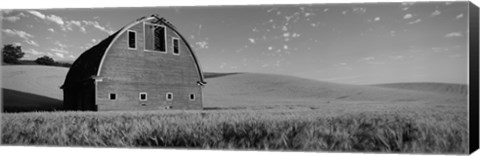 Framed Black and White view of Old barn in a wheat field, Washington State Print