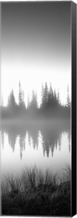 Framed Reflection of trees in a lake in black and white, Mt Rainier National Park, Washington State Print