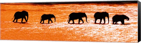 Framed Herd of African Elephants Crossing the Uaso Nyiro River, Kenya Print