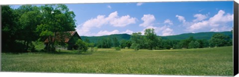 Framed Barn in a field, Cades Cove, Great Smoky Mountains National Park, Tennessee, USA Print