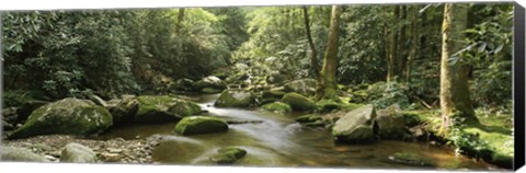 Framed Roaring Fork River, Great Smoky Mountains, Tennessee Print