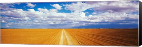 Framed Dirt road Amboseli Kenya Print