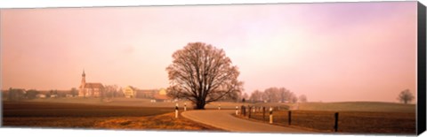 Framed Tree &amp; road Lansberg vicinity Germany Print