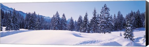 Framed Snowy Field &amp; Trees Oberjoch Germany Print
