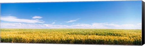 Framed Farm field Twin Falls ID USA Print