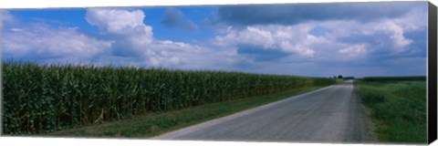 Framed Road along corn fields, Christian County, Illinois, USA Print