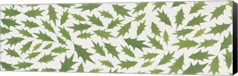 Framed Pattern of Hollies Print