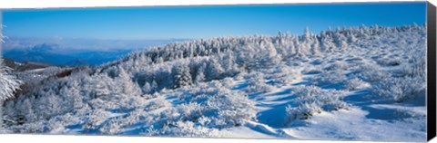 Framed Winter in Utsukushigahara Nagano Japan Print