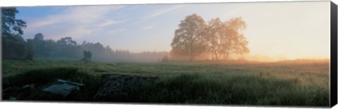 Framed Sunrise in Lovo Uppland Sweden Print