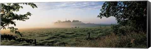 Framed Field with cows, Lovo Uppland Sweden Print