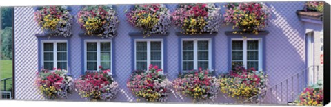 Framed Purple House with Flowers, Appenzell Switzerland Print