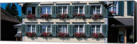 Framed Windows with Flower Boxes, Appenzell Switzerland Print