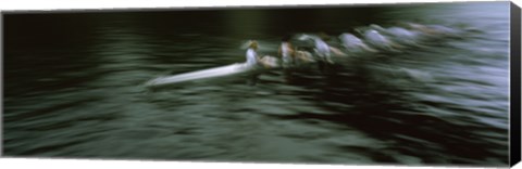 Framed Crew racing, Seattle, Washington State, USA Print