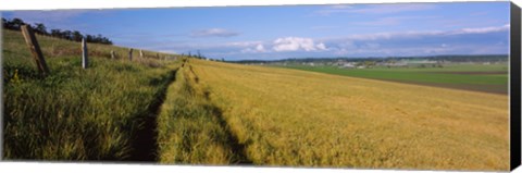Framed Wooden fence along a farm, Ebey's Prairie, Whidbey Island, Island County, Washington State, USA Print