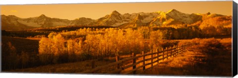 Framed Dallas Divide, San Juan Mountains, Colorado (sepia) Print