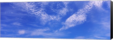 Framed Low angle view of cirrocumulus clouds in the sky Print