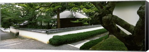 Framed Trees near a temple, Nanzenji Temple, Kyoto, Kyoto Prefecture, Kinki Region, Honshu, Japan Print