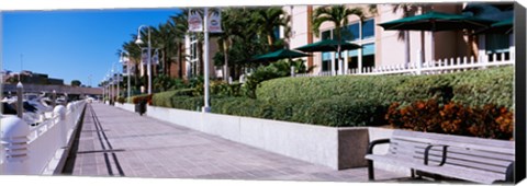 Framed Buildings along a walkway, Garrison Channel, Tampa, Florida, USA Print