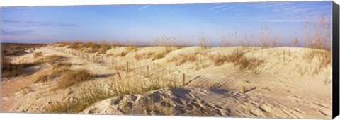 Framed Sand dunes on the beach, Anastasia State Recreation Area, St. Augustine, St. Johns County, Florida, USA Print