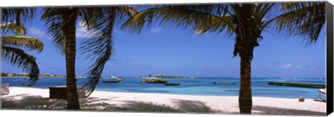 Framed Palm trees on the beach, Anguilla Print