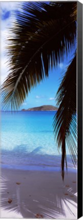 Framed Maho Bay, Virgin Islands National Park, St. John, US Virgin Islands Print