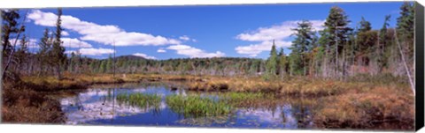 Framed Reflection of clouds in water, Raquette Lake, Adirondack Mountains, New York State, USA Print