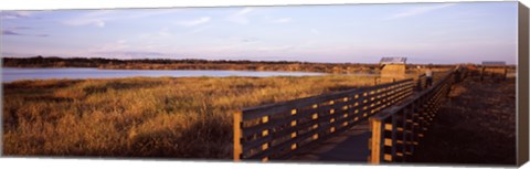 Framed Boardwalk in a state park, Myakka River State Park, Sarasota, Sarasota County, Florida, USA Print