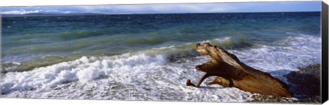 Framed Waves and driftwood on the beach, Whidbey Island, Island County, Washington State, USA Print