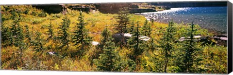 Framed High angle view of a lake, Iceberg Lake, US Glacier National Park, Montana, USA Print