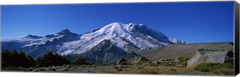 Framed Mountain covered with snow, Mt Rainier, Mt Rainier National Park, Pierce County, Washington State, USA Print