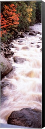 Framed River flowing through a forest, Ausable River, Adirondack Mountains, Wilmington, New York State (vertical) Print