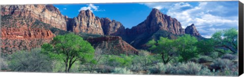 Framed Cottonwood trees and The Watchman, Zion National Park, Utah, USA Print