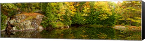 Framed Colorful trees and rocks along the Musquash River, Muskoka, Ontario, Canada Print