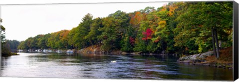 Framed Trees at the Riverside, Musquash River, Muskoka, Ontario, Canada Print