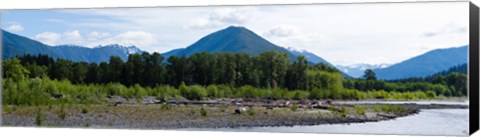 Framed Quinault Rainforest, Olympic National Park, Olympic Peninsula, Washington State Print