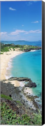 Framed High angle view of a beach, Makapuu, Oahu, Hawaii, USA Print