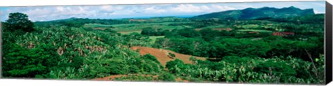 Framed Trees on a hill, Chamarel, Mauritius Island, Mauritius Print