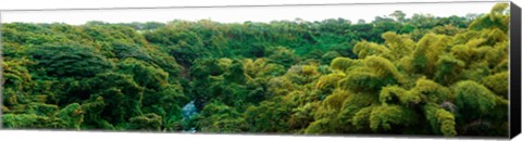 Framed Countryside, Mauritius Island, Mauritius Print