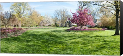 Framed Trees in a Garden, Sherwood Gardens, Baltimore, Maryland Print